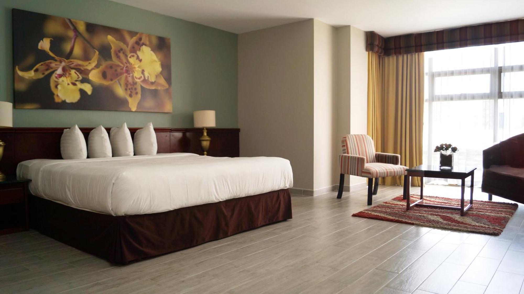 Hotel Palma Real San Jose  Bagian luar foto