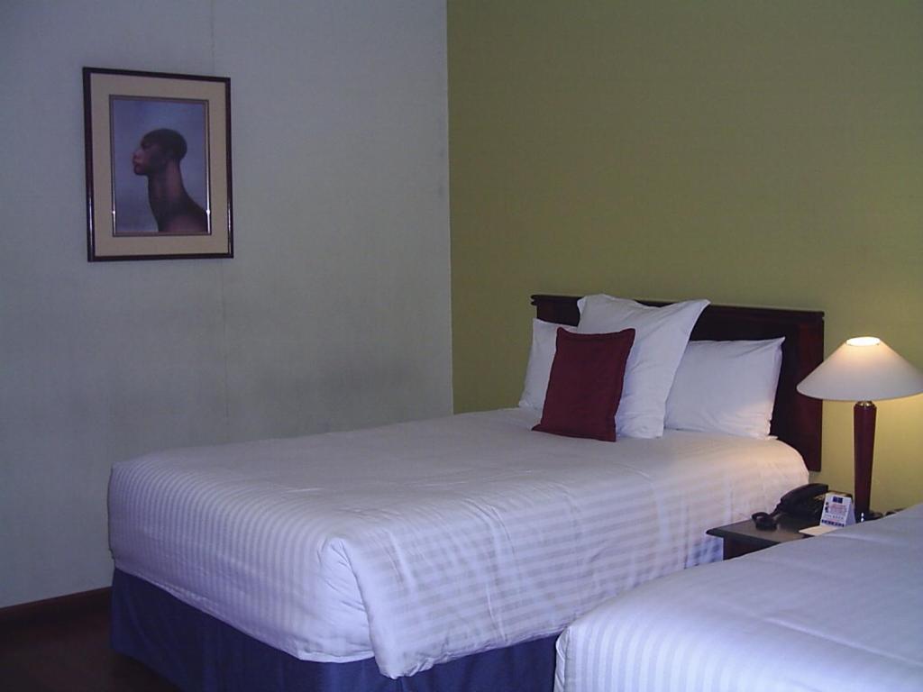 Hotel Palma Real San Jose  Ruang foto